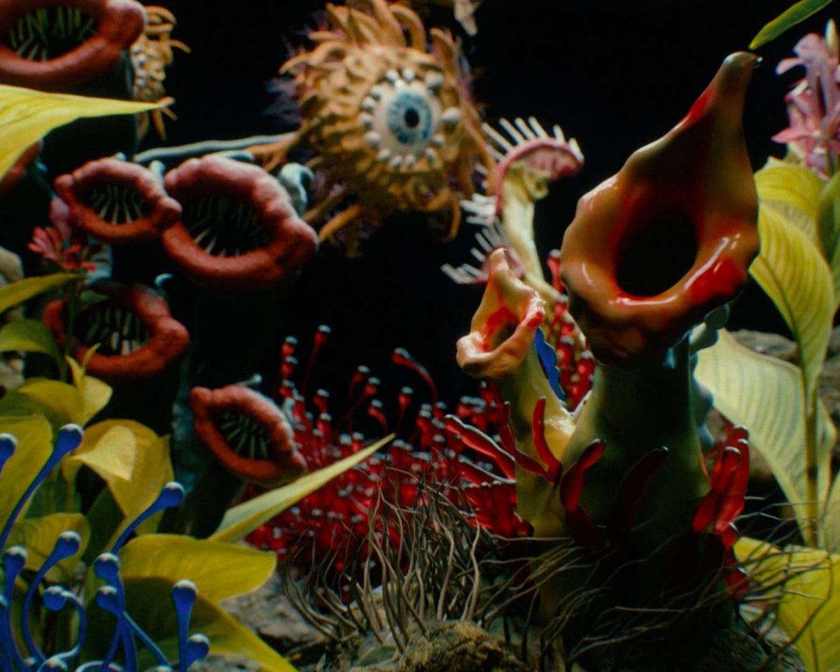 Octopus Carnivorous Pack
