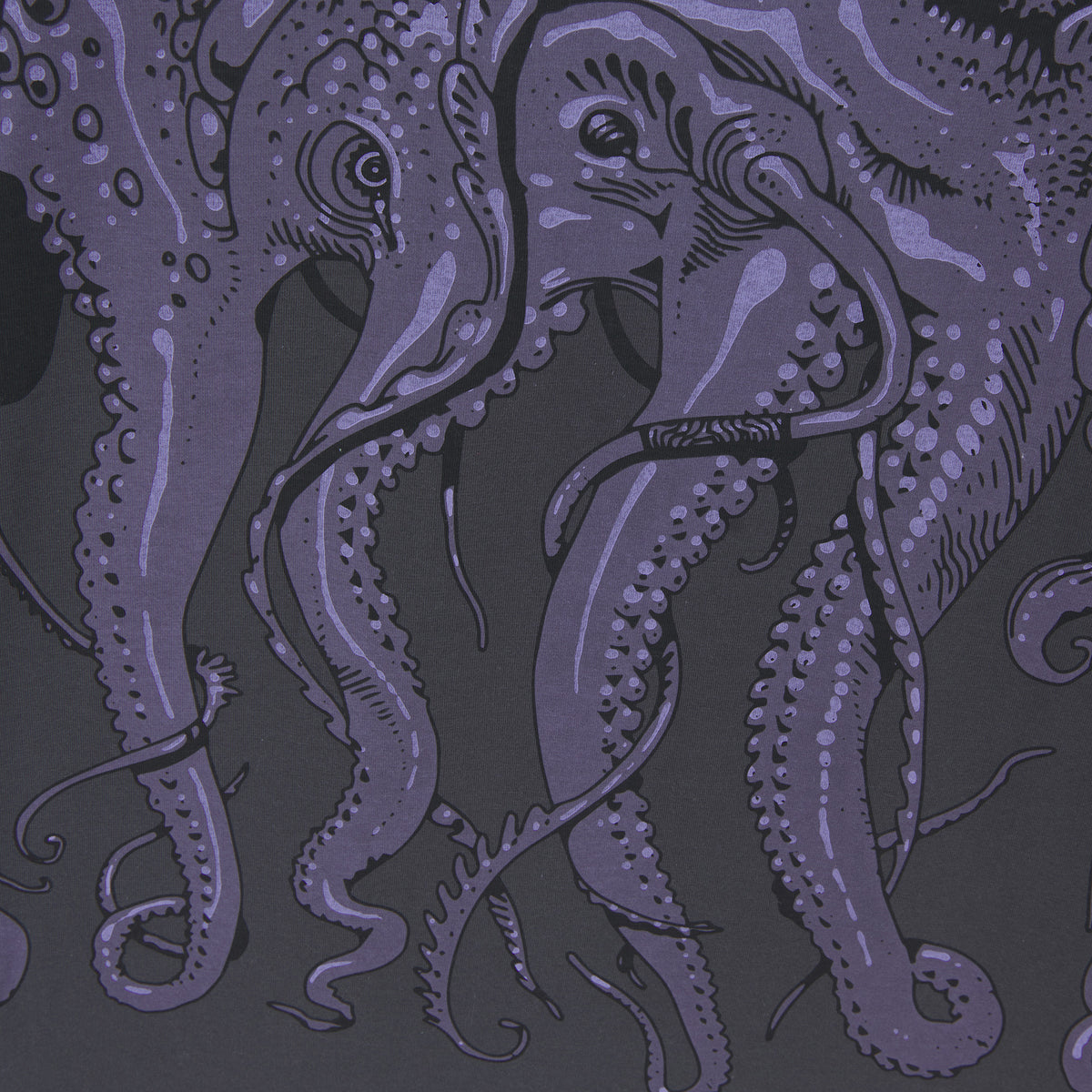 Pastaacolazione Octopus Tee Asphalt